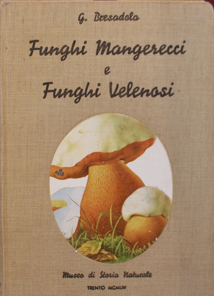 Funghi mangerecci e Funghi velenosi