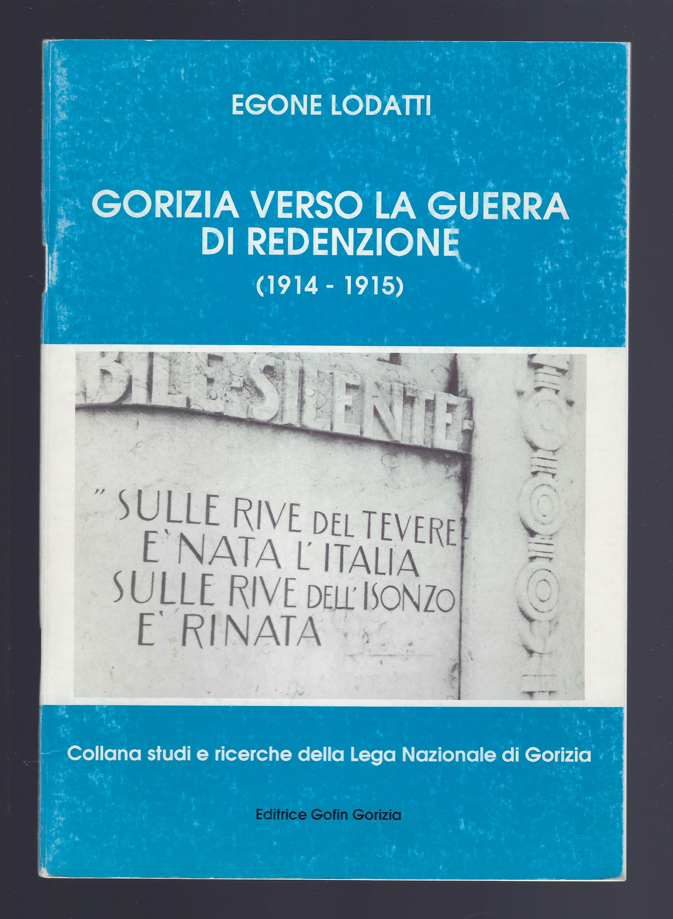 Gorizia verso la guerra di redenzione (1914-1915)