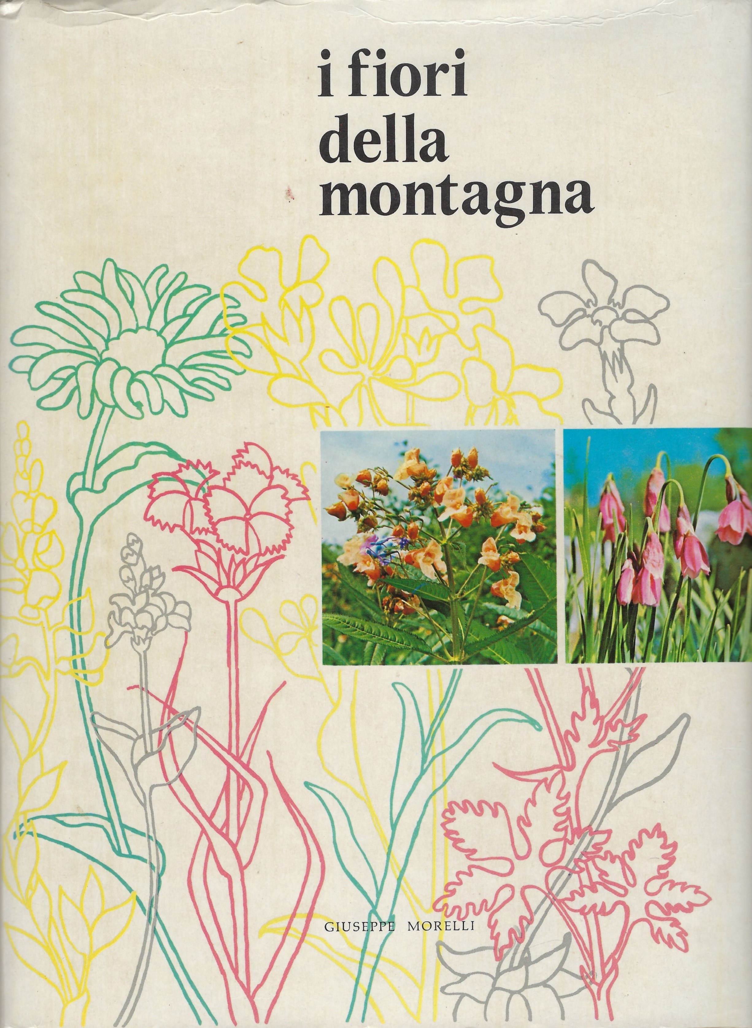 I fiori della montagna