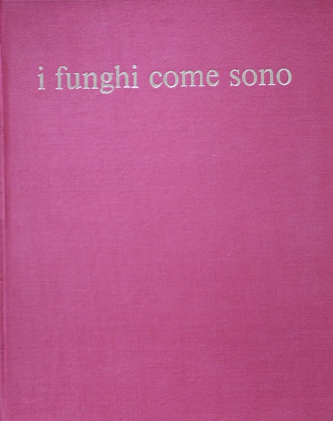 I funghi come sono