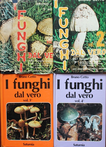 I funghi dal vero