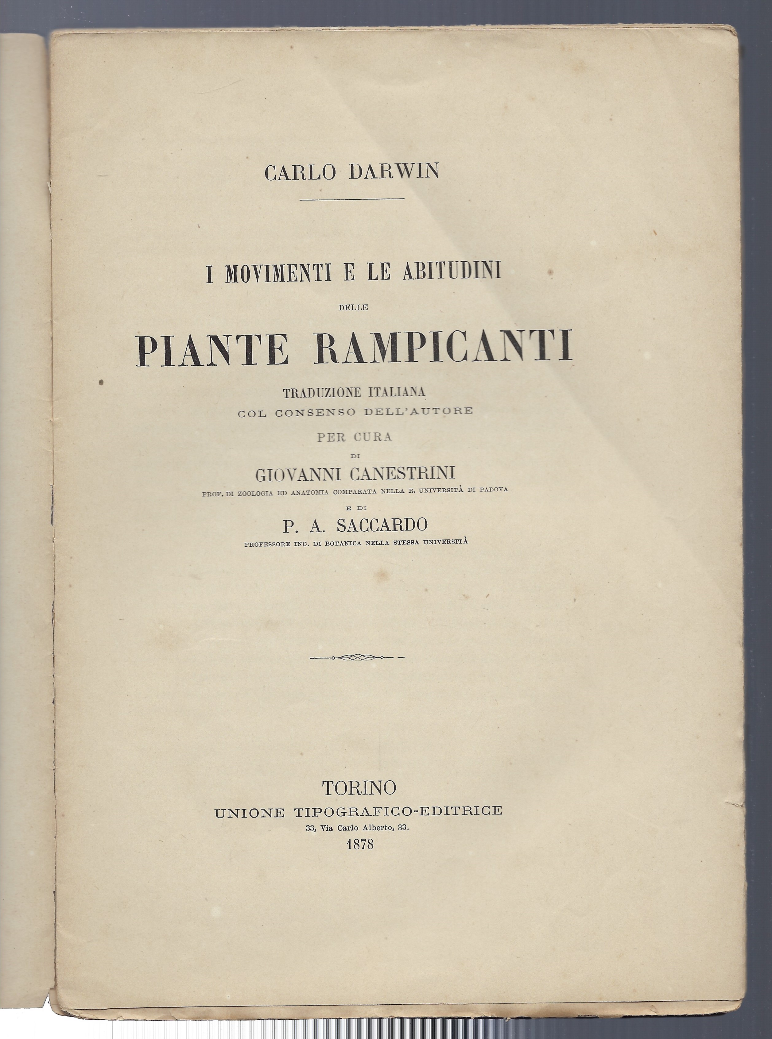 I movimenti e le abitudini delle piante rampicanti. Traduzione italiana …