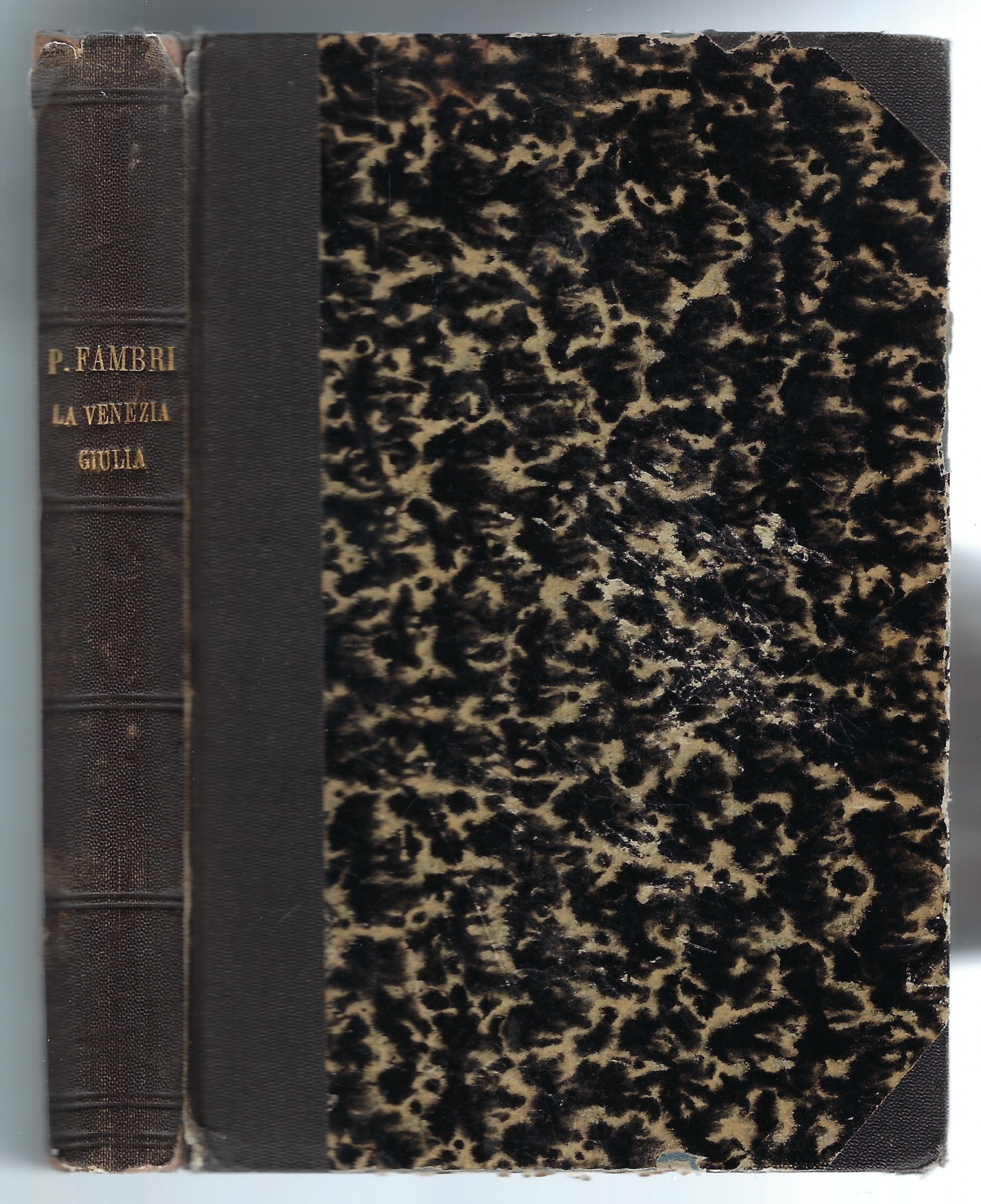 La Venezia Giulia, studii politico-militari.