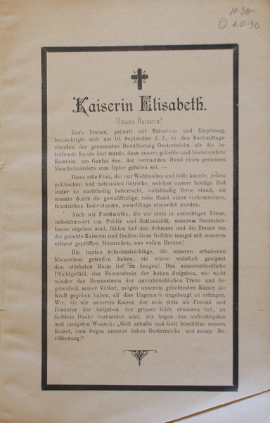 Mittheilungen des krainisch-kustenlandischen Forstvereines. XVII Heft.