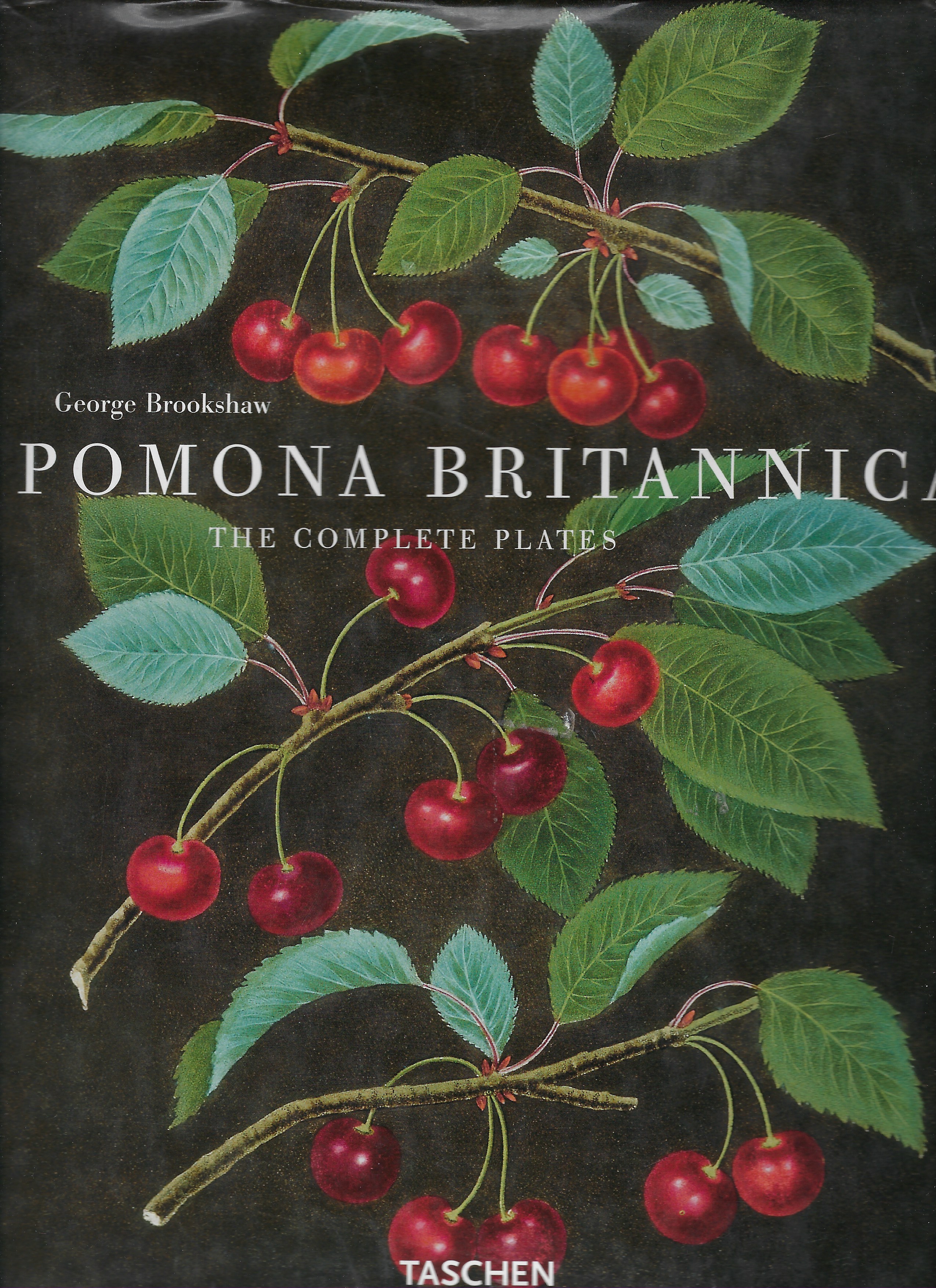 Pomonia britannica. The complete plates.