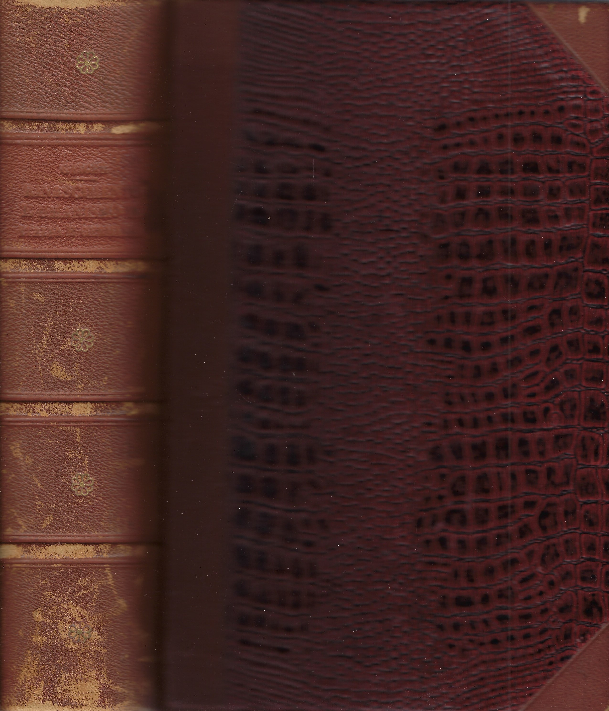 Rinascimento e Umanismo in Italia e in Germania.