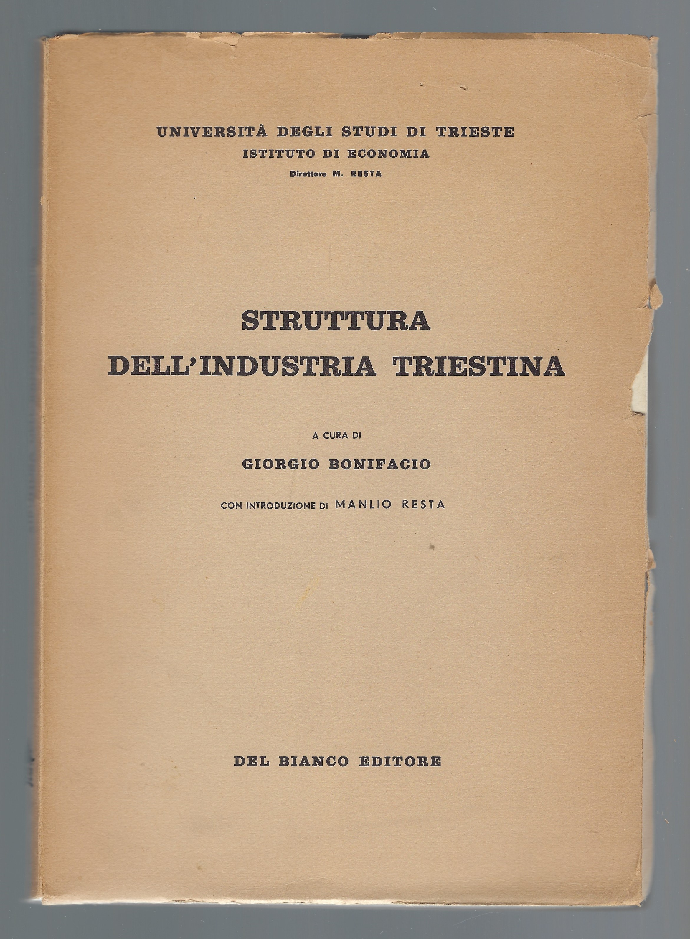 Struttura dell'industria triestina