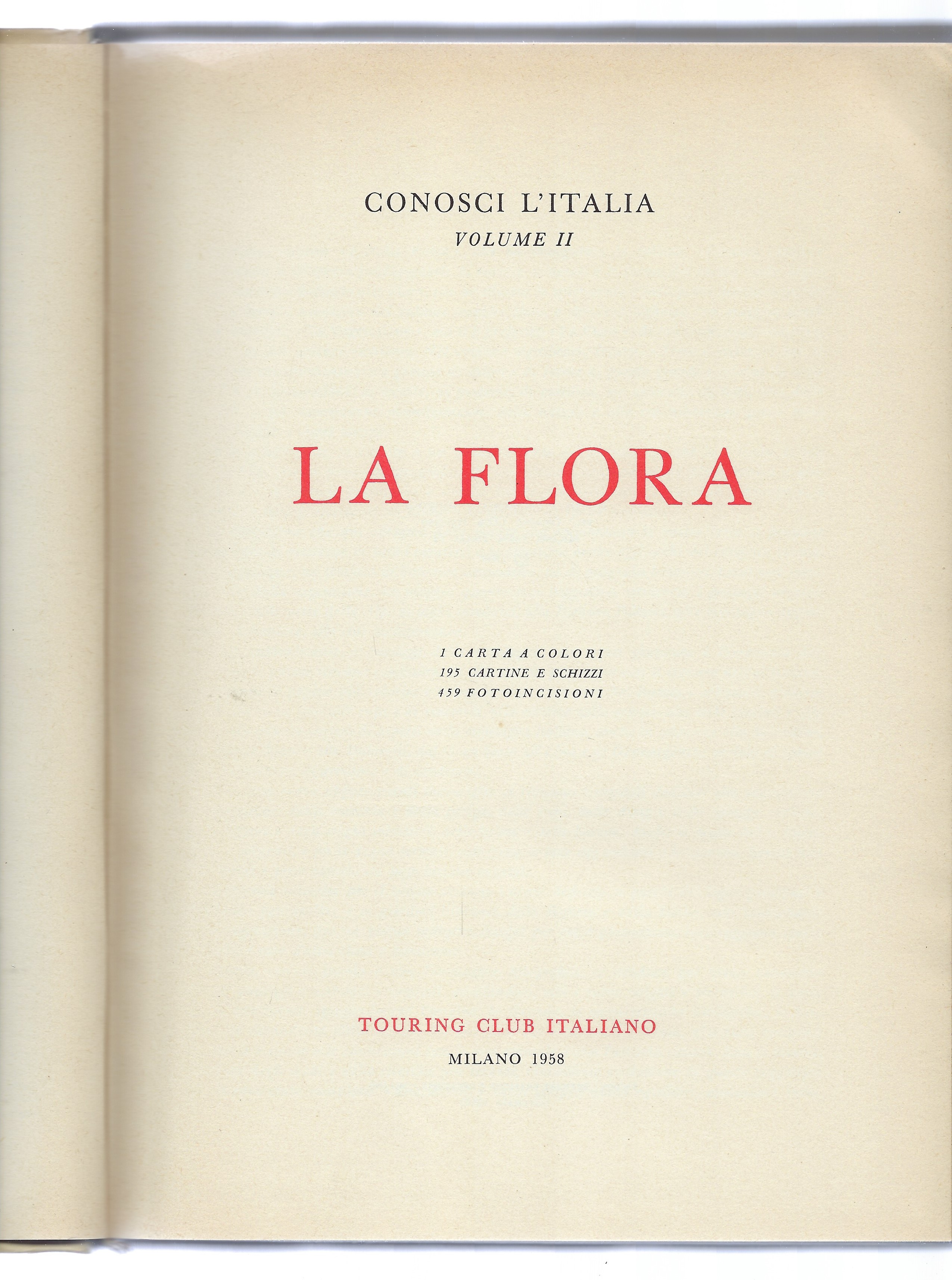 La Flora. T.C.I.