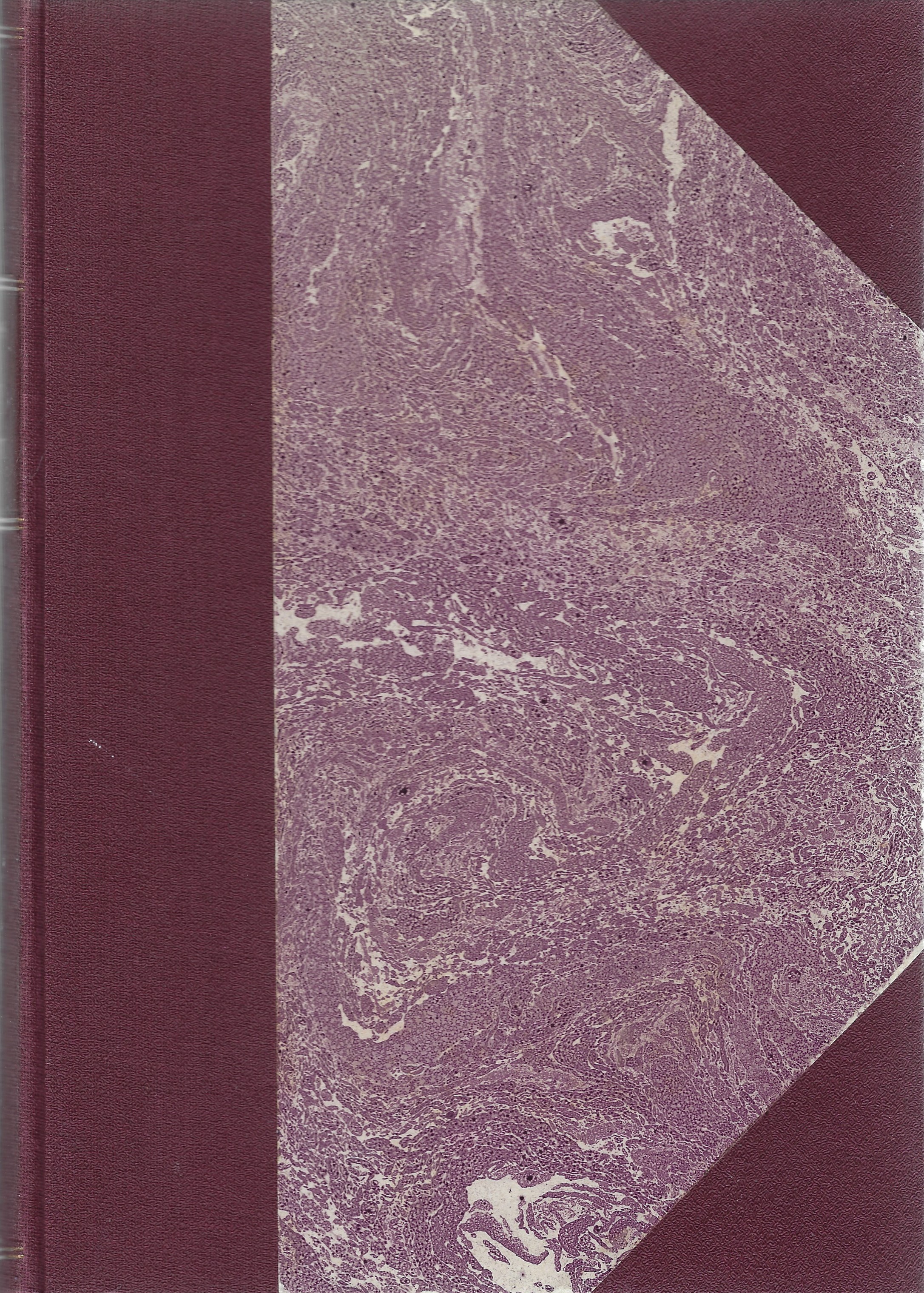 Tempi andati. Pagine della vita triestina (1830-1848)