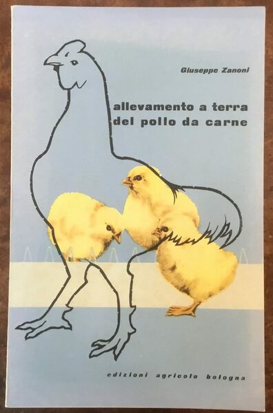 Allevamento a terra del pollo da carne