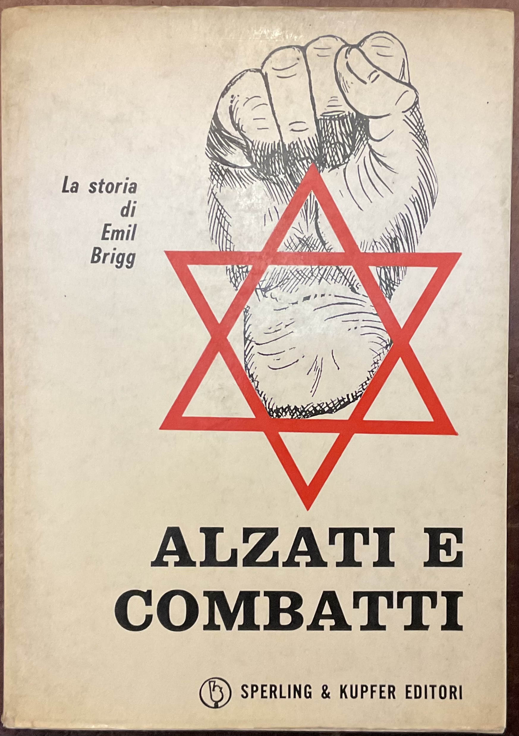 Alzati e combatti. La storia di Emil Brigg