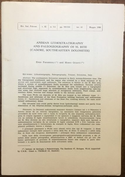 Anisian lithostratigraphy and paleogeography of M. Rite (Cadore, Southeastern Dolomites)