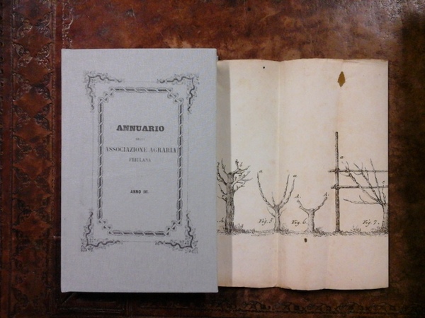 Annuario della Associazione Agraria Friulana. Anno III