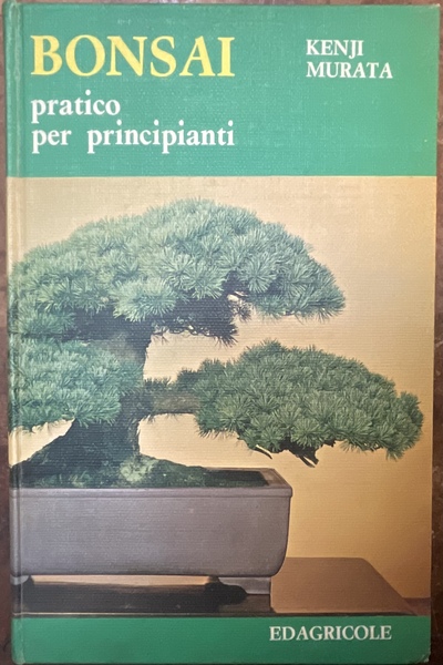 Bonsai pratico per principianti