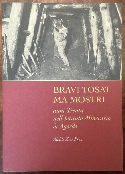 Bravi tosat ma mostri. Anni Trenta nell’Istituto Minerario di Agordo