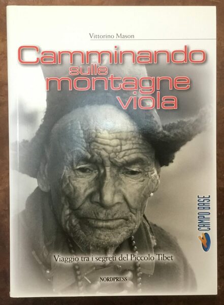 Camminando sulle montagne viola