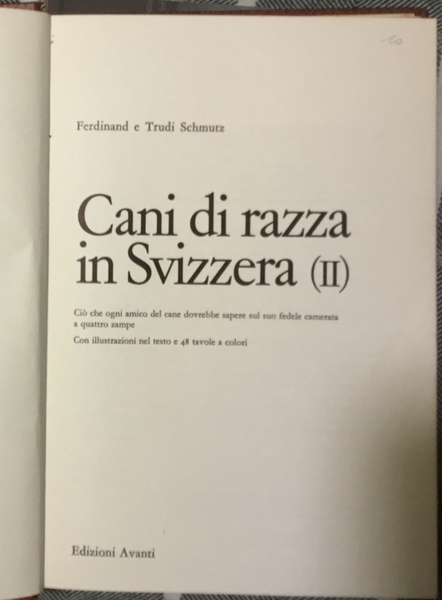 Cani di razza in Svizzera (II)