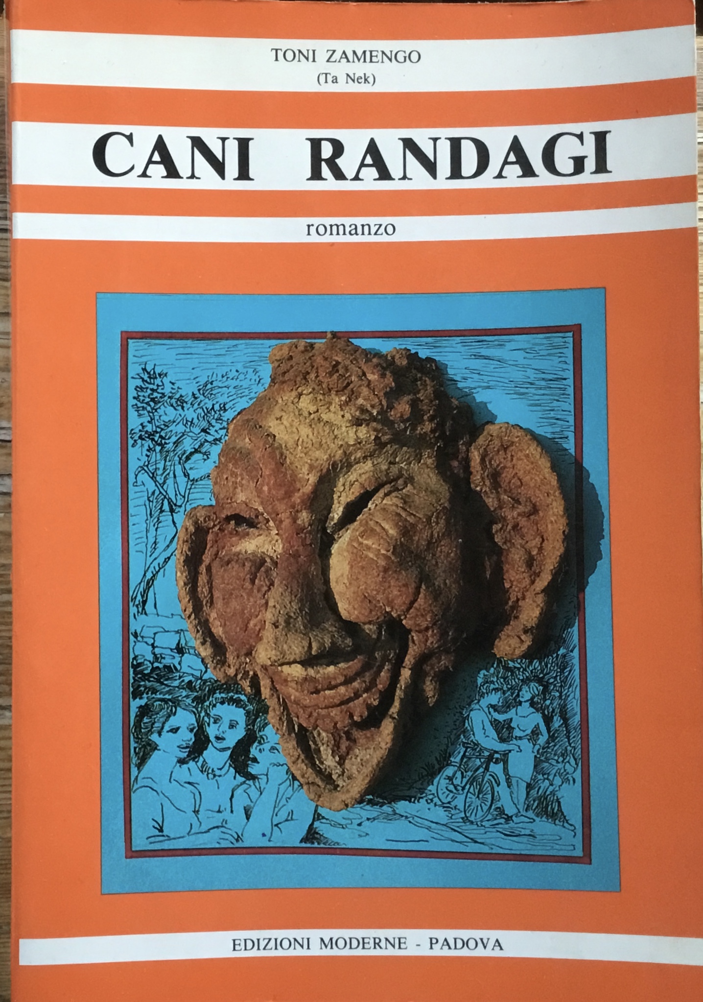 Cani randagi