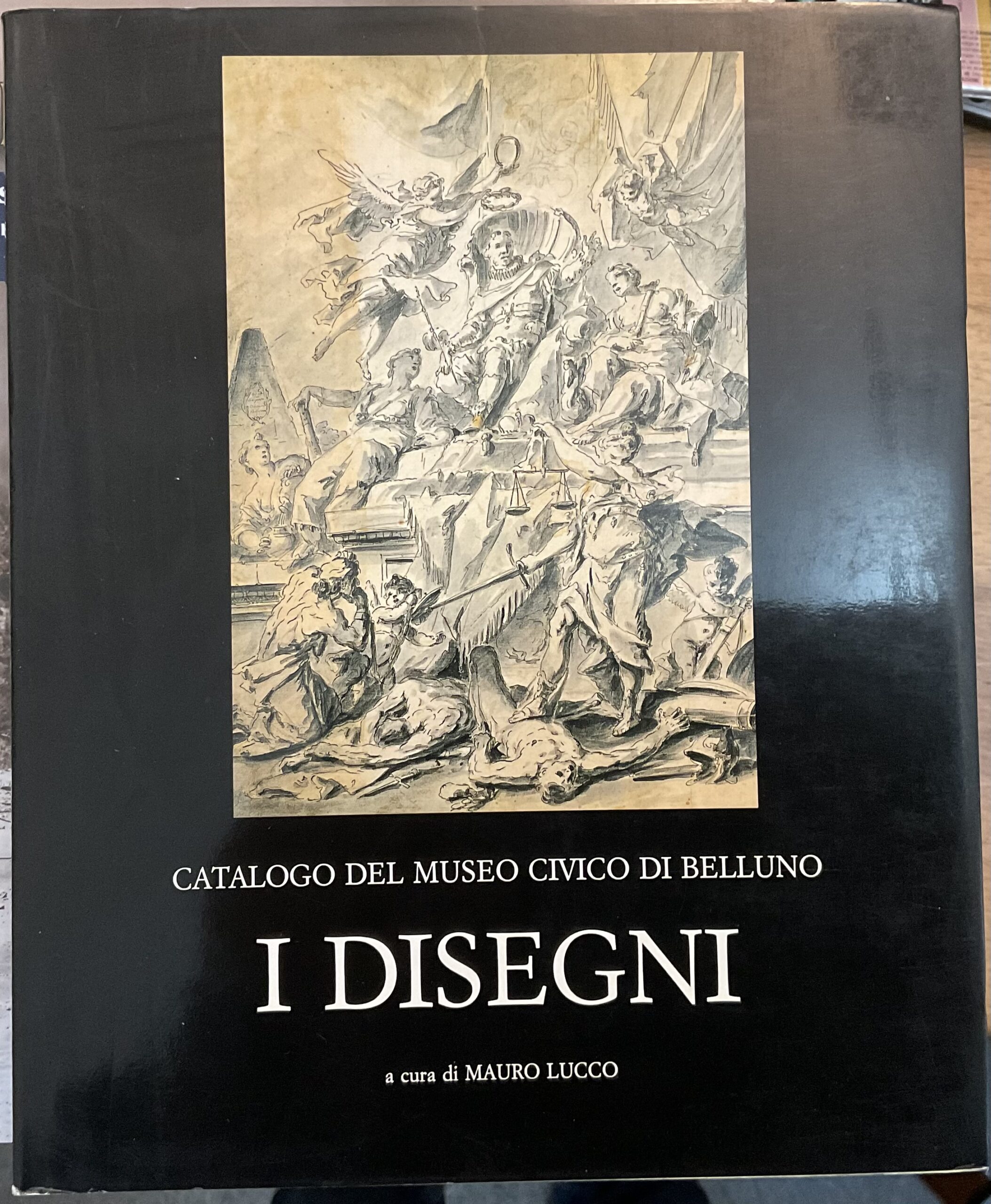 Catalogo del Museo Civico di Belluno. I Disegni