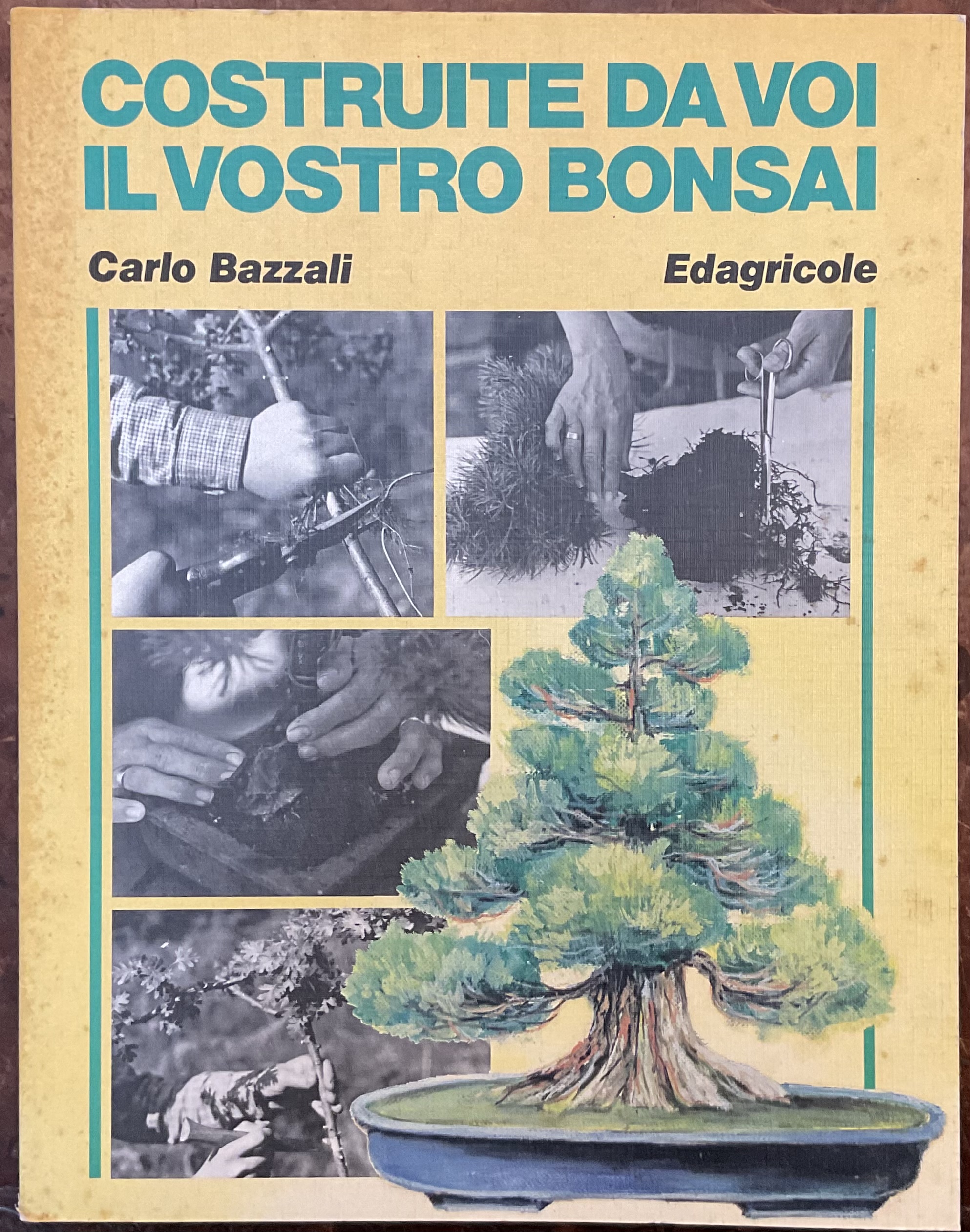 Costruire da voi il vostro bonsai