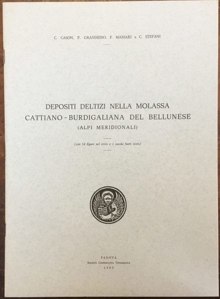 Depositi deltizi nella molassa Cattiano - Burdigaliana del Bellunese (Alpi …