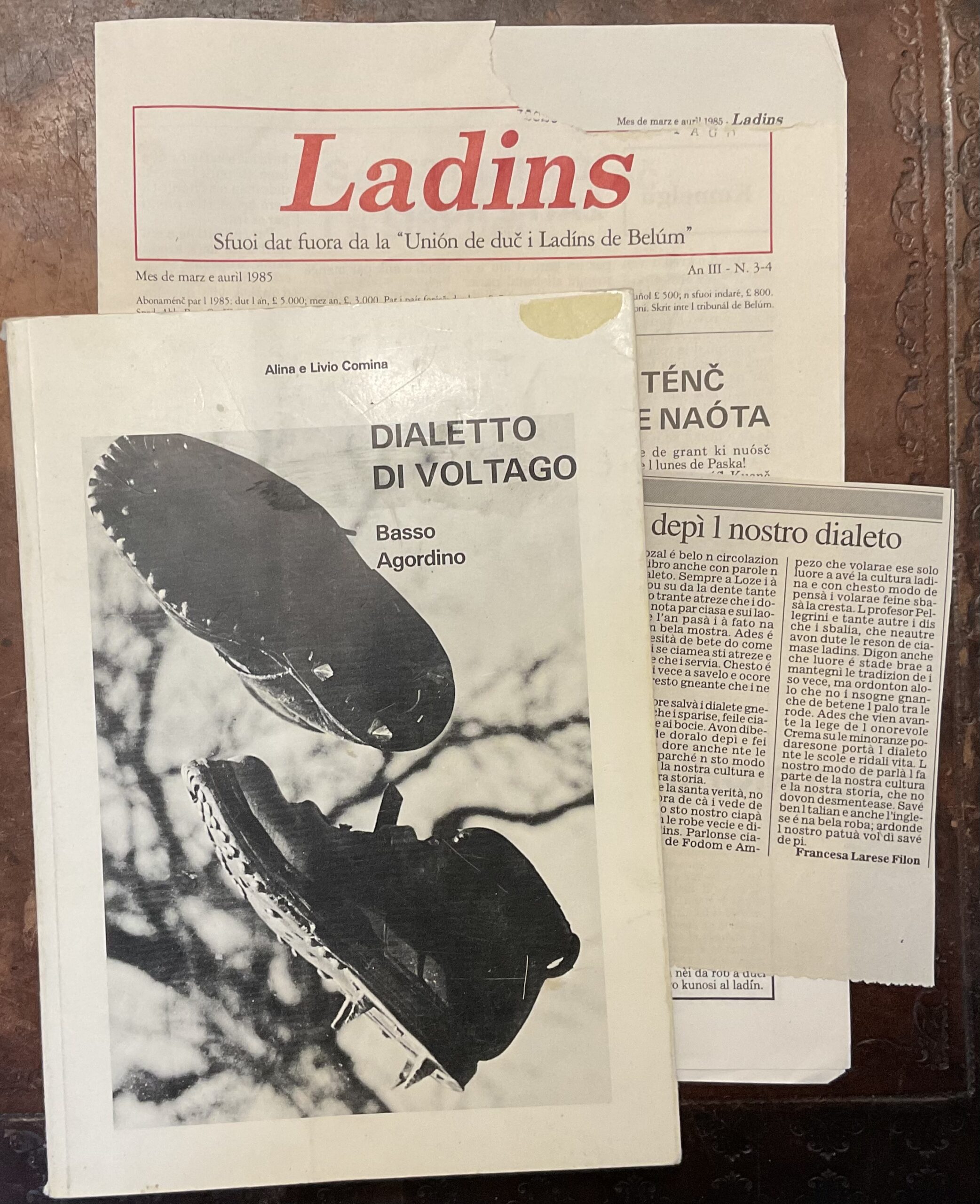 Dialetto di Voltago. Basso Agordino. Parole, fraseologia, detti, gergo