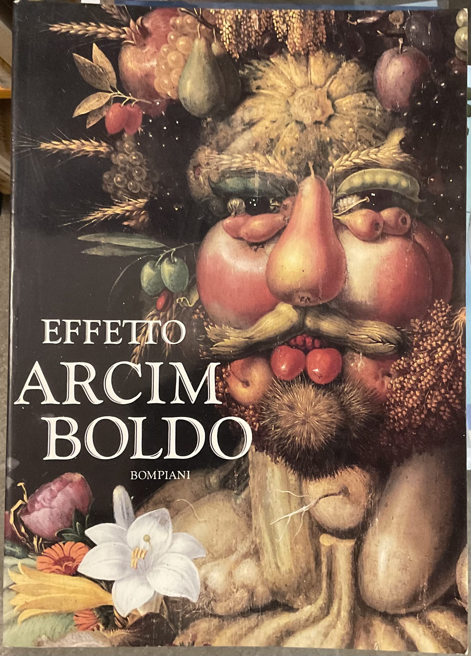 Effetto Arcimboldo. Trasformazione del volto nel sedicesimo e nel ventesimo …