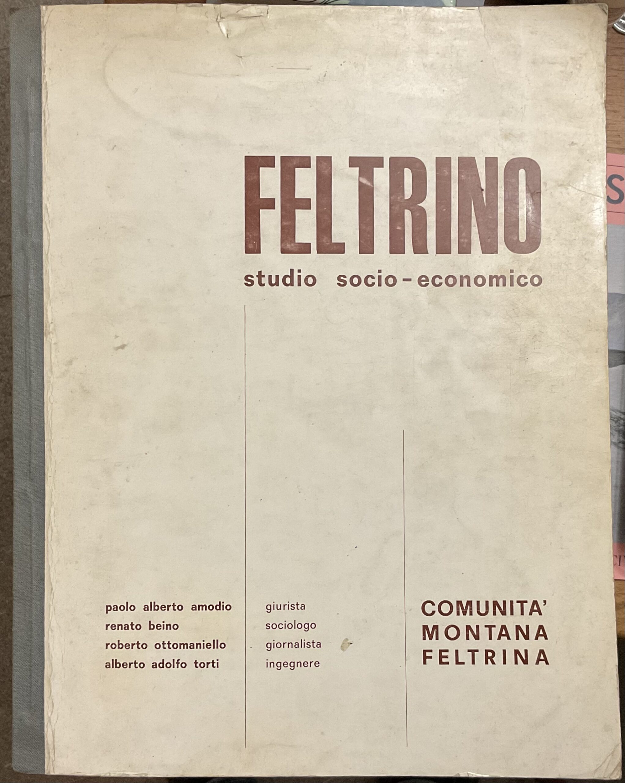 Feltrino. Studio socio-economico. Relazione sociologica sul feltrino