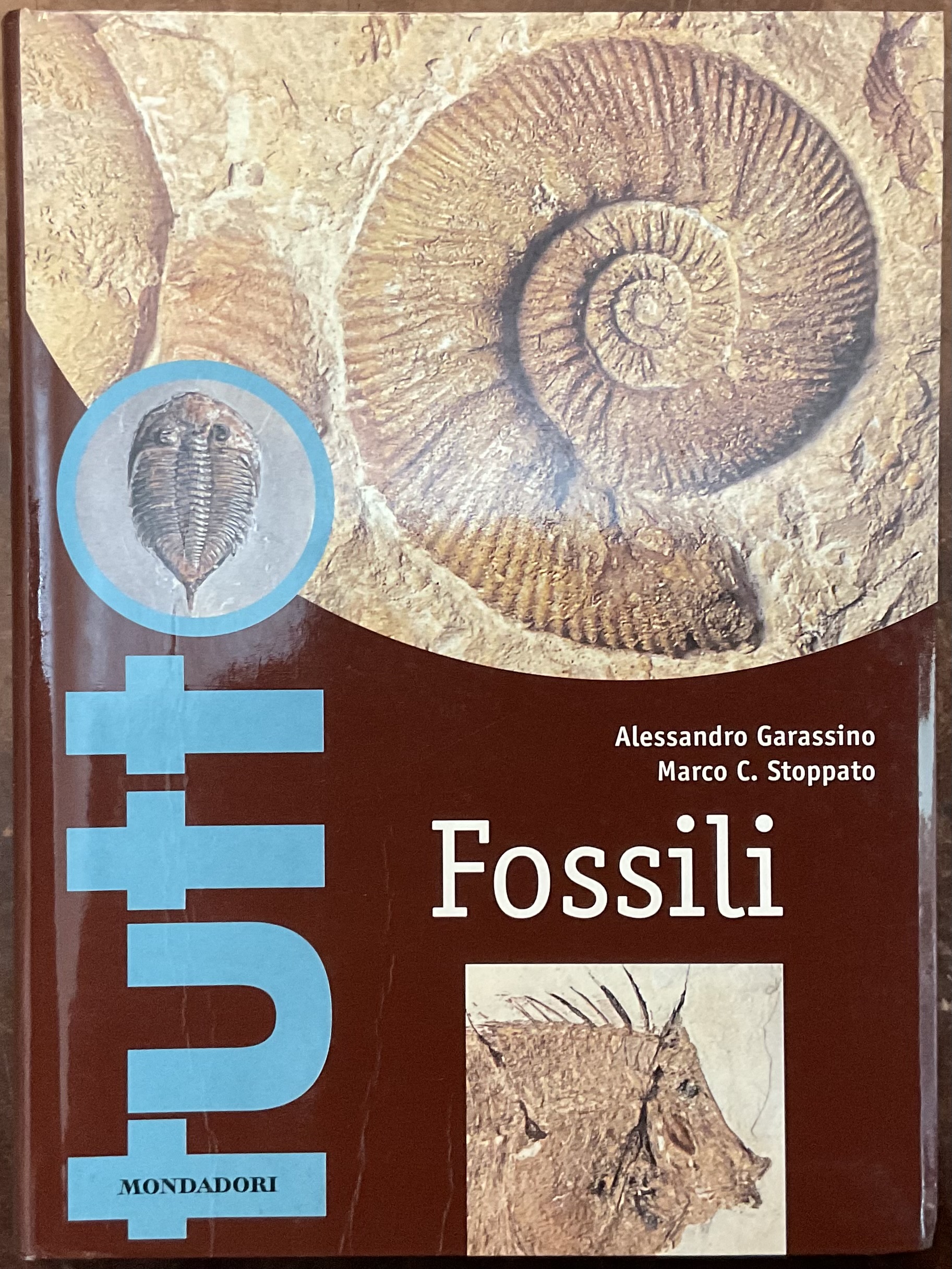 Fossili