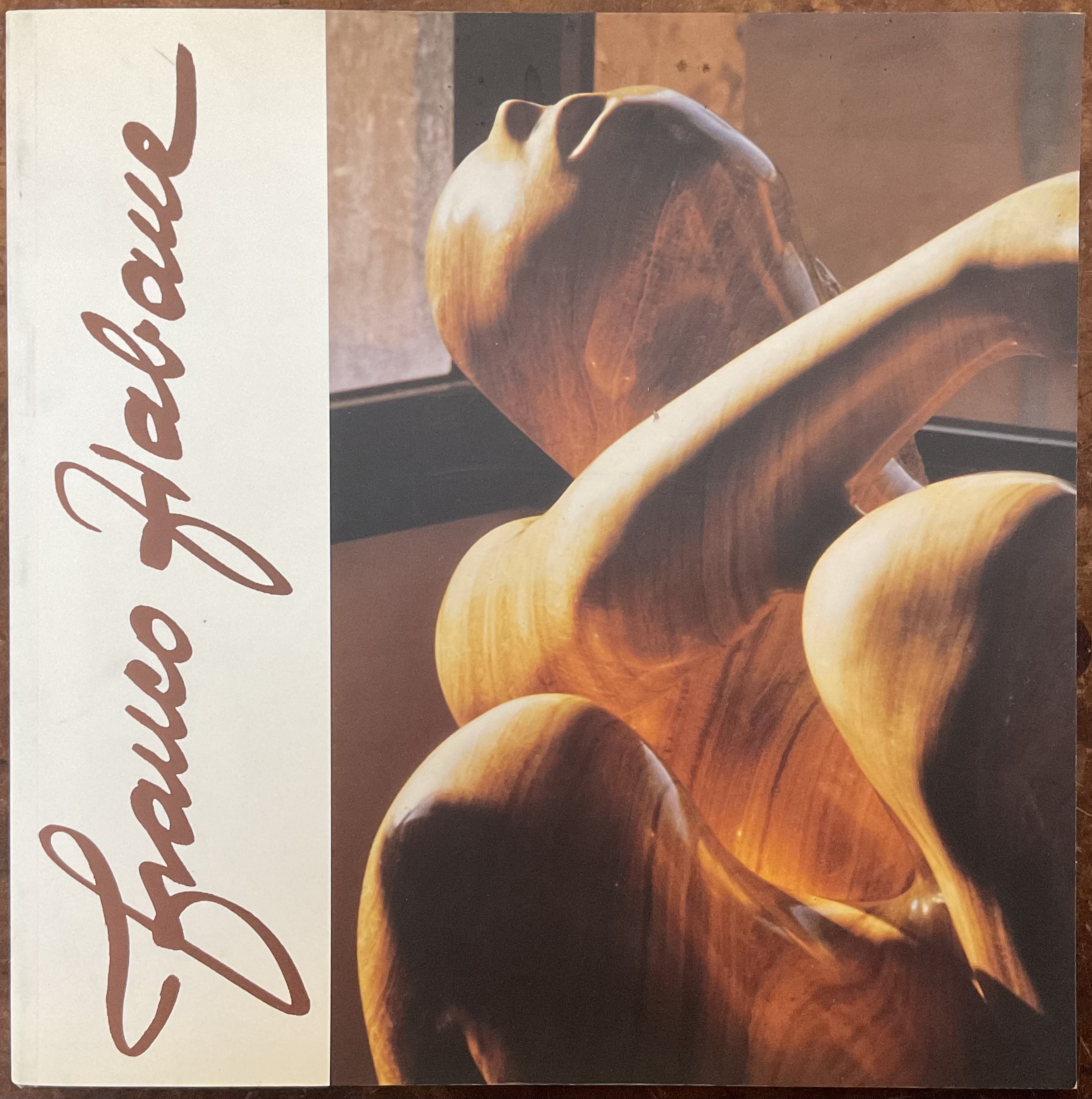 Franco Fiabane, Bregenz dal 2 giugno al 26 luglio 1992