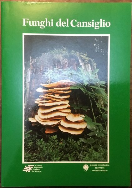 Funghi del Cansiglio