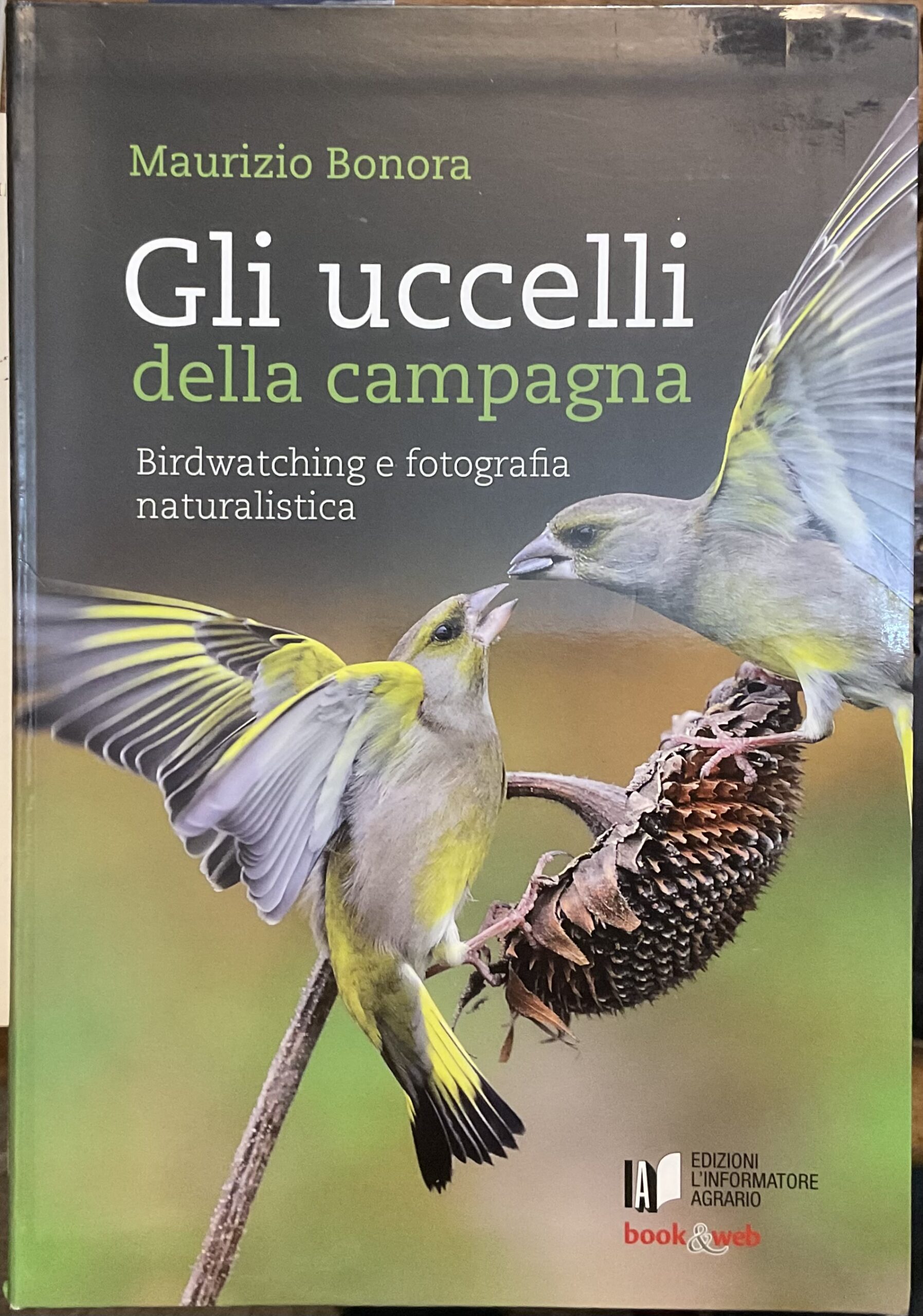 Gli uccelli della campagna. Birdwatching e fotografia naturalistica