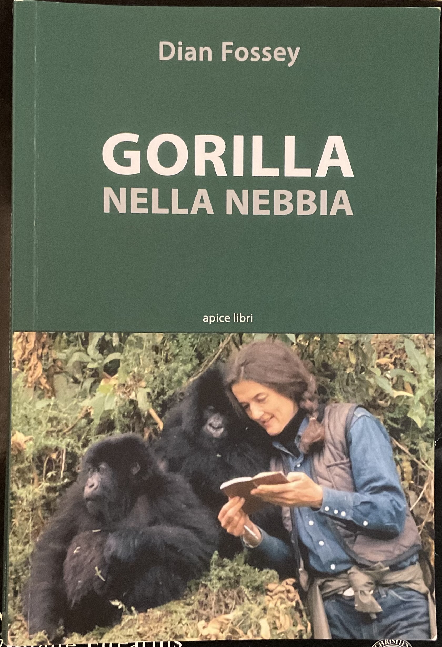 Gorilla nella nebbia