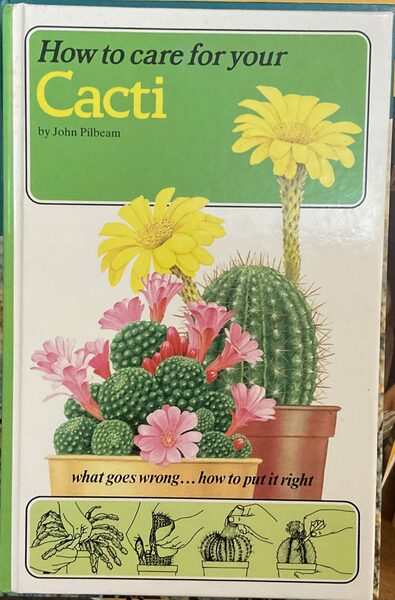 How to care for your Cacti