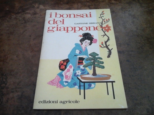 I bonsai del Giappone