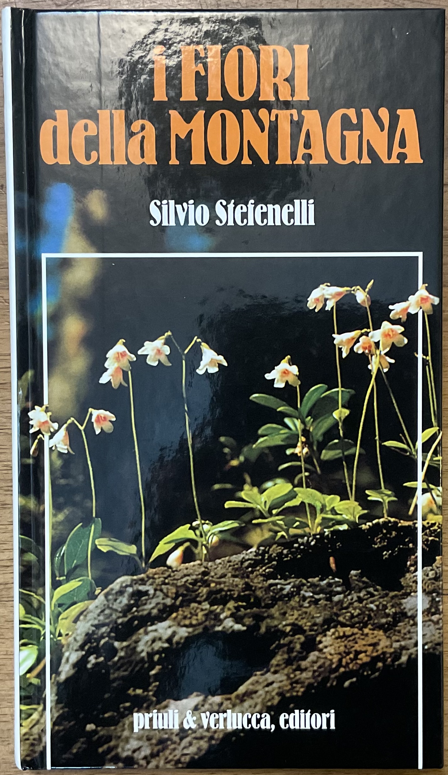 I fiori della montagna