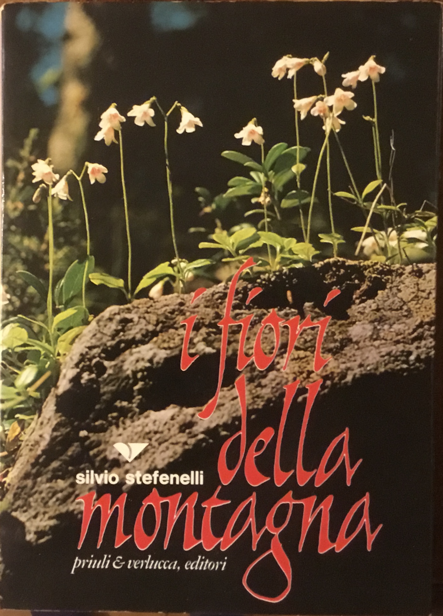 I fiori della montagna