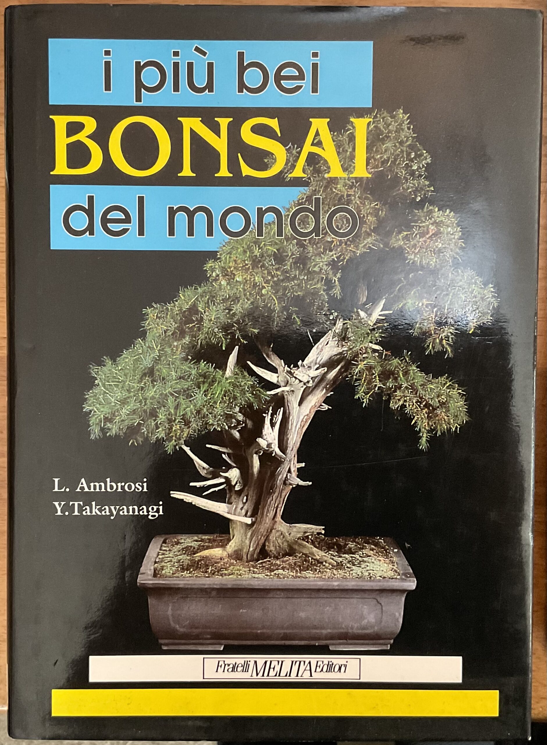 I più bei bonsai del mondo
