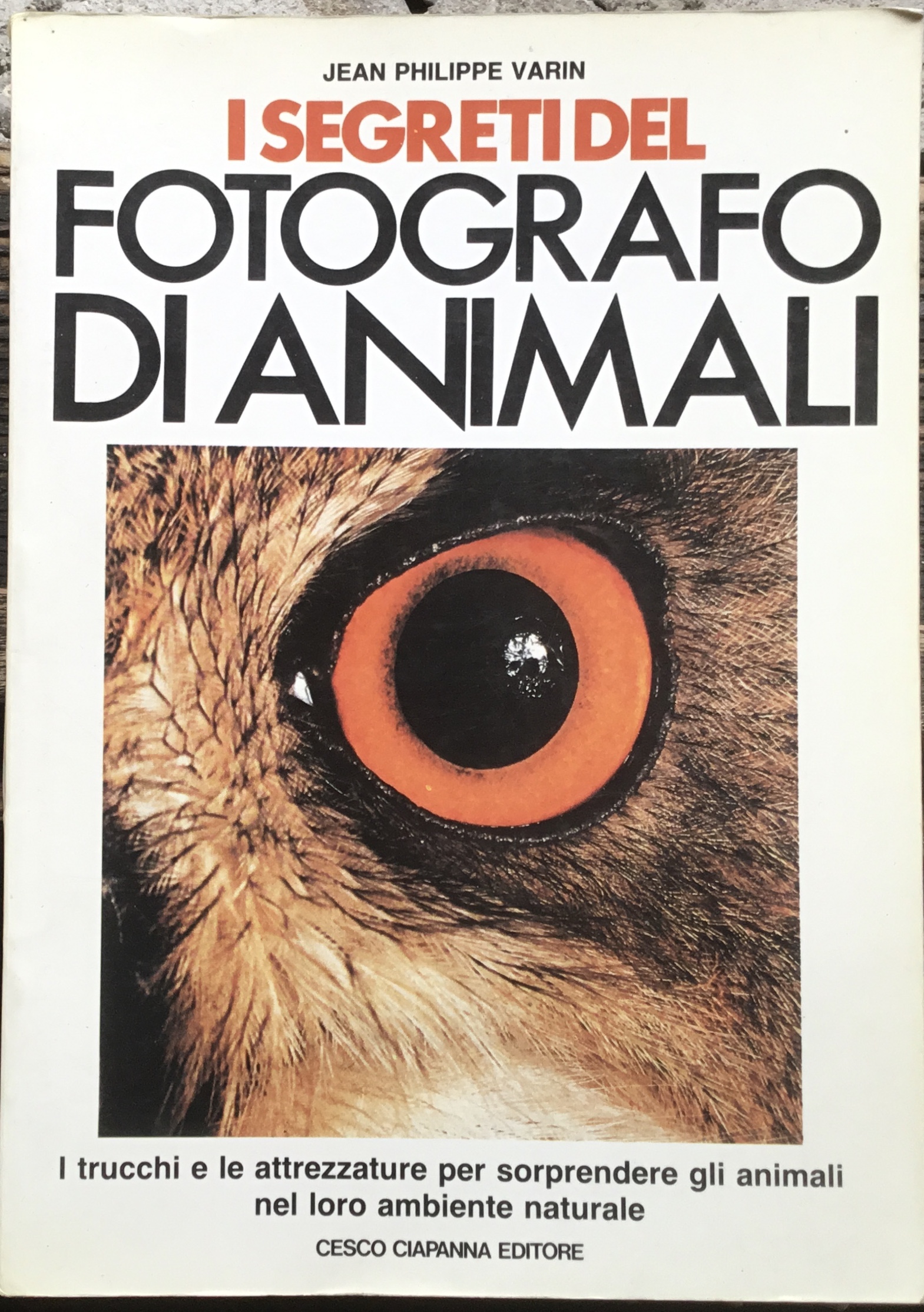 I segreti del fotografo di animali