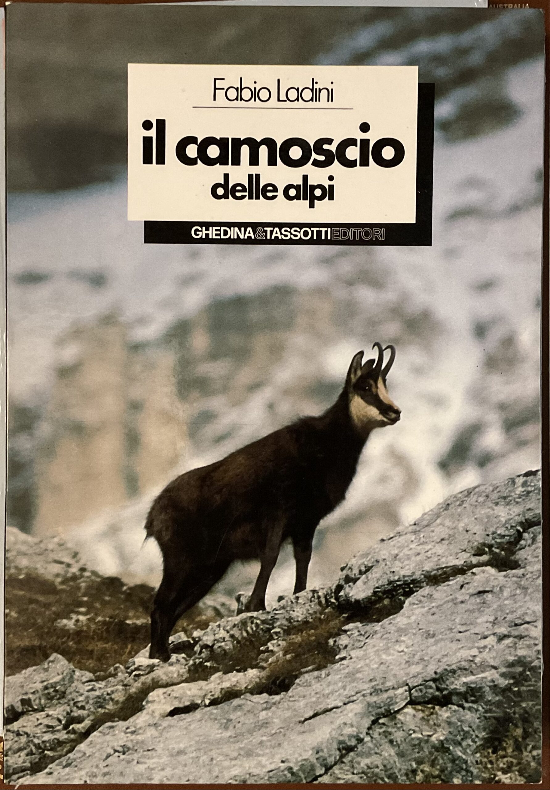 Il Camoscio delle Alpi