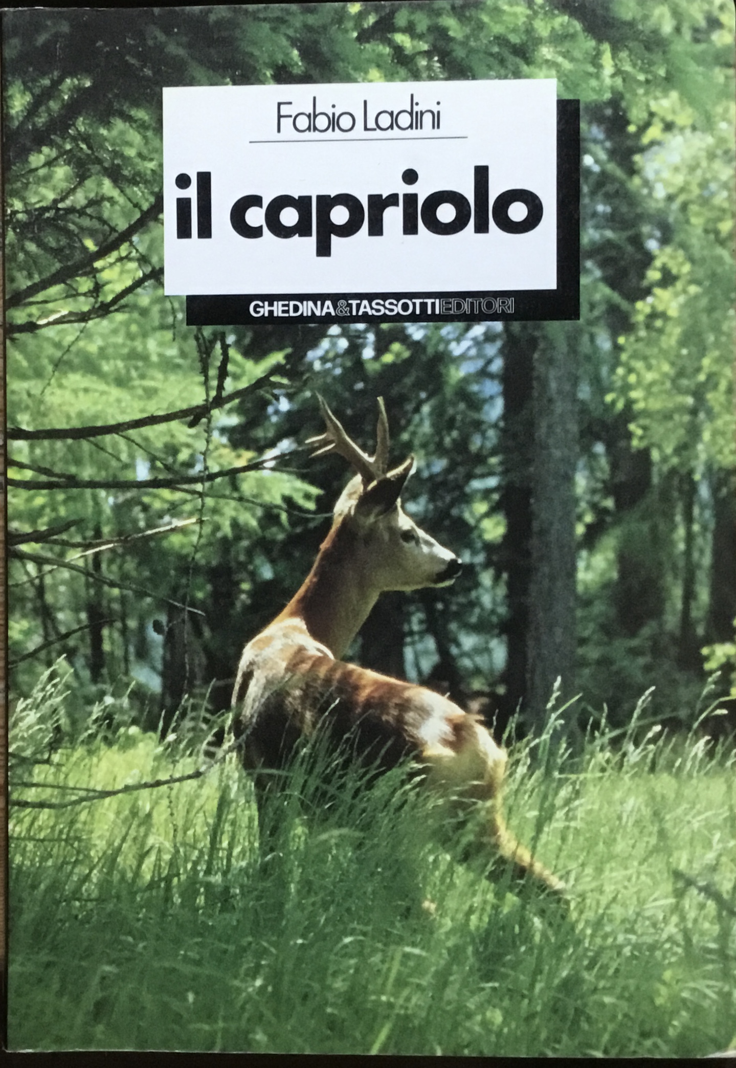 Il capriolo