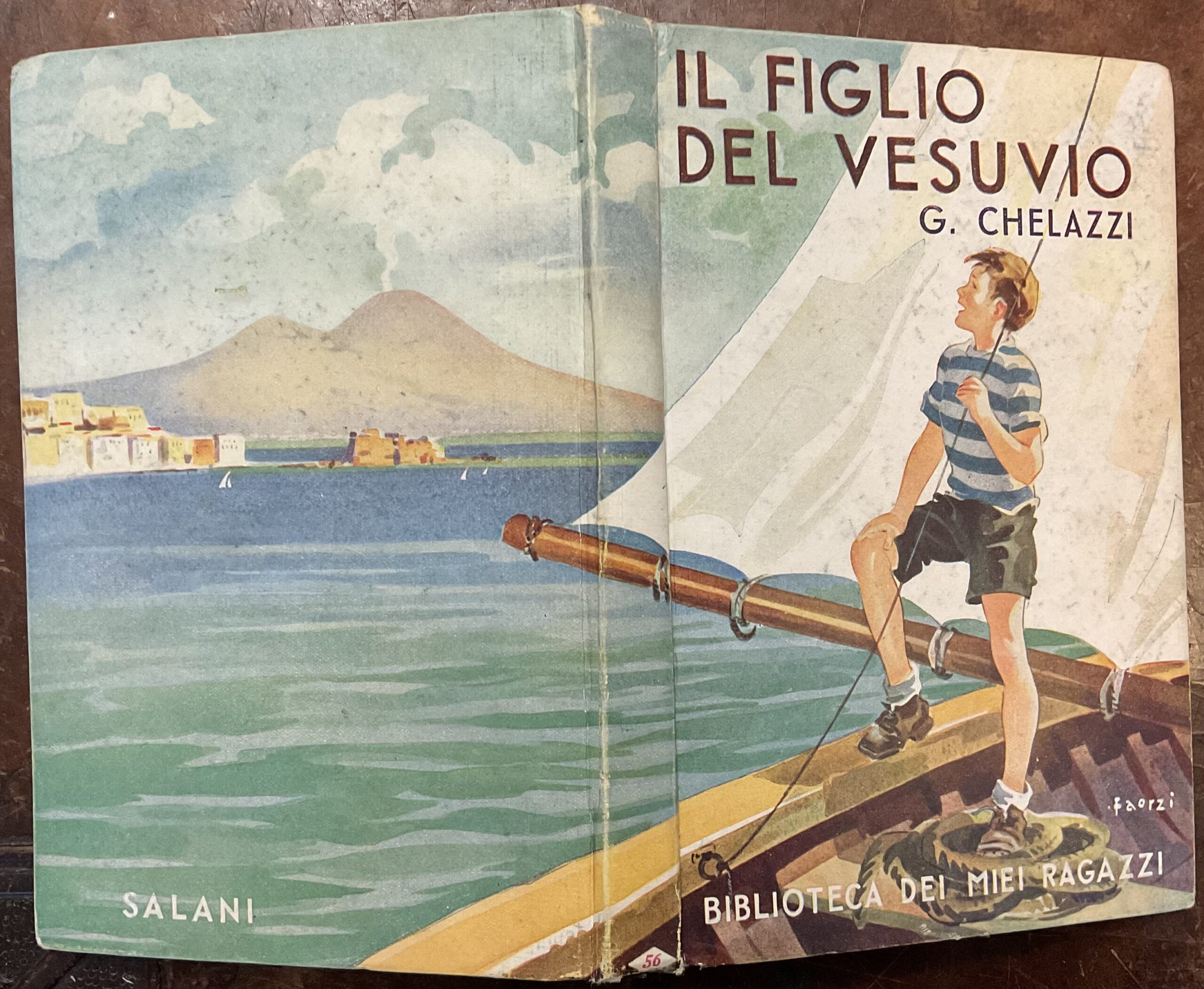 Il figlio del Vesuvio. Biblioteca dei miei ragazzi