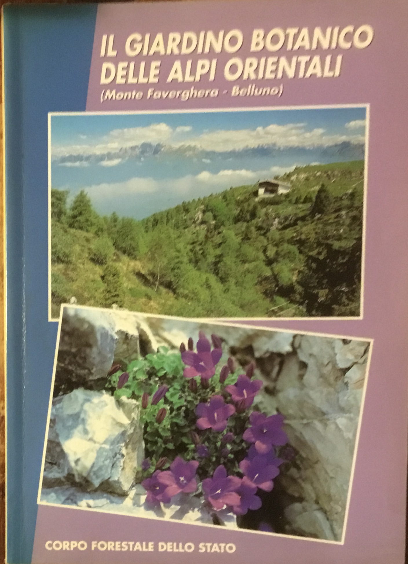 Il giardino botanico delle Alpi Orientali ( Monte Faverghera, Belluno)