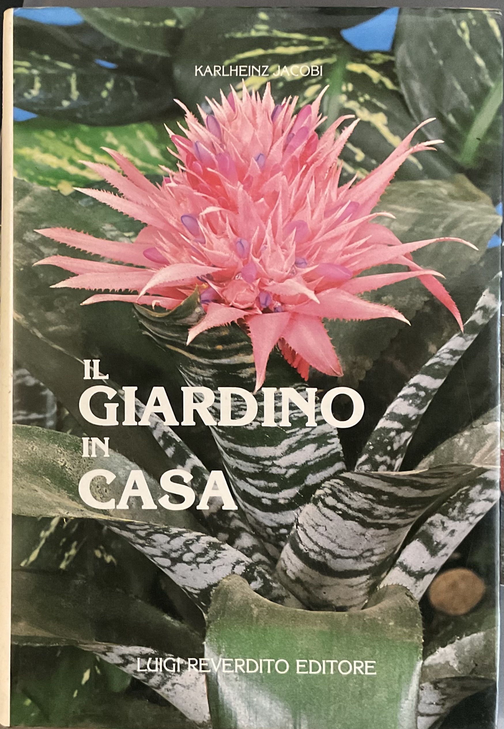 Il giardino in casa
