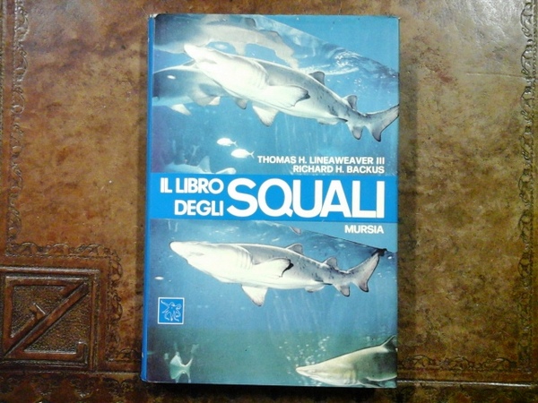 Il libro degli squali