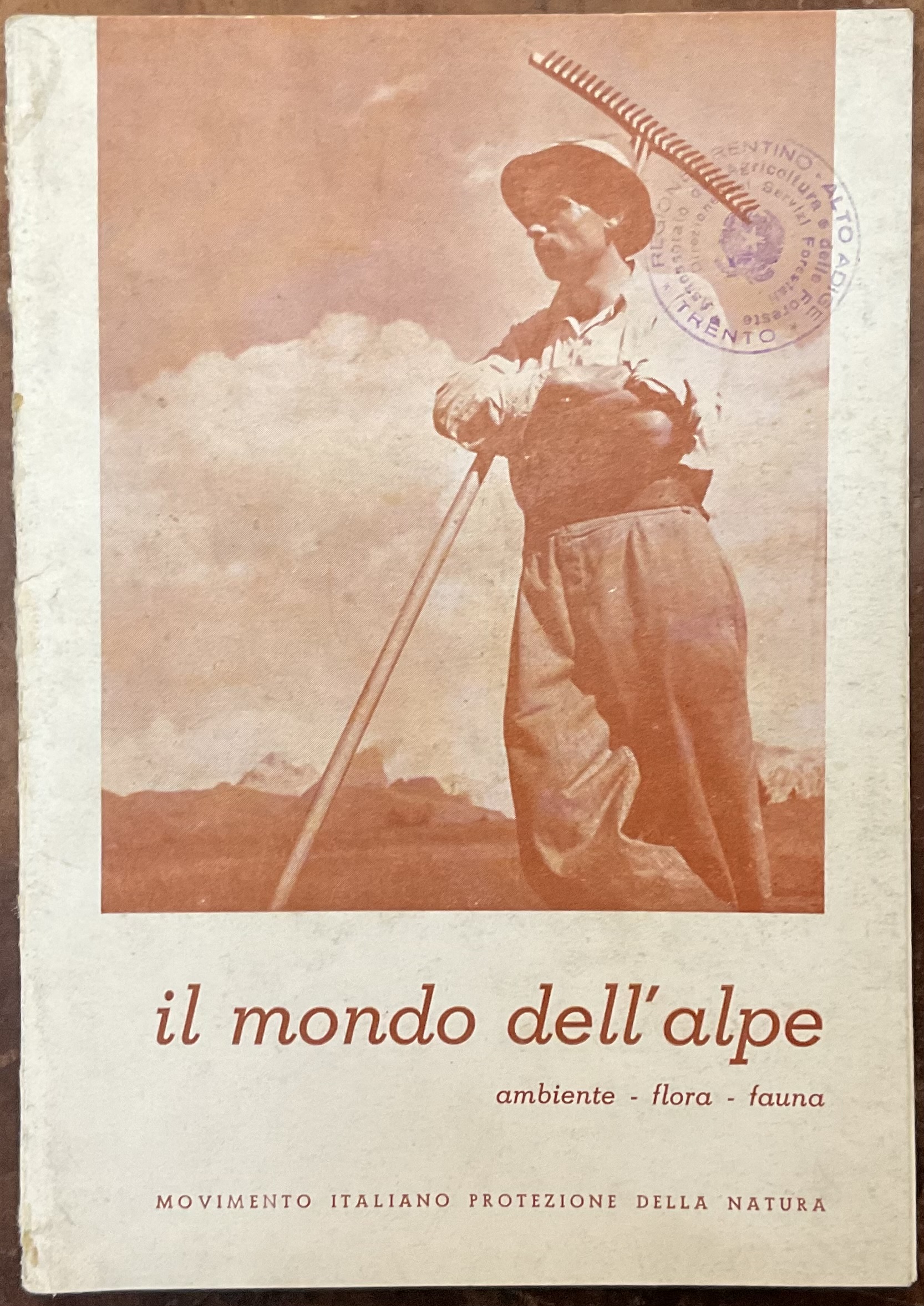 Il mondo dell’alpe, ambiente-flora-fauna