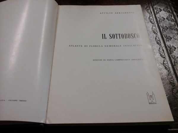 Il sottobosco. Atlante di florula nemorale indicativa