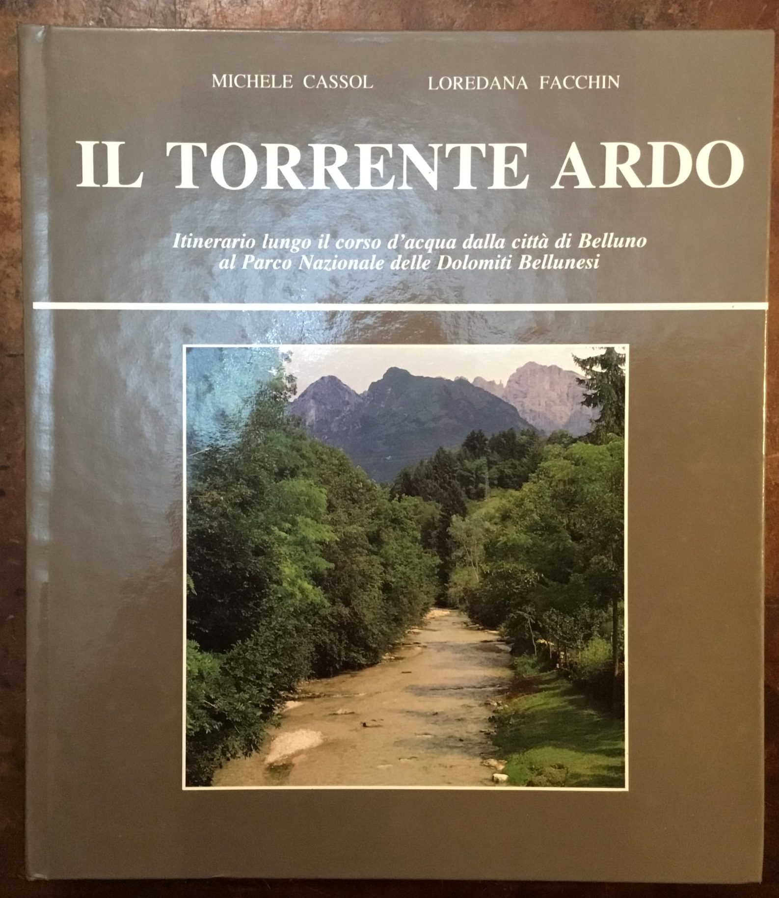 Il torrente Ardo. Itinerario lungo il corso d’acqua dalla città …