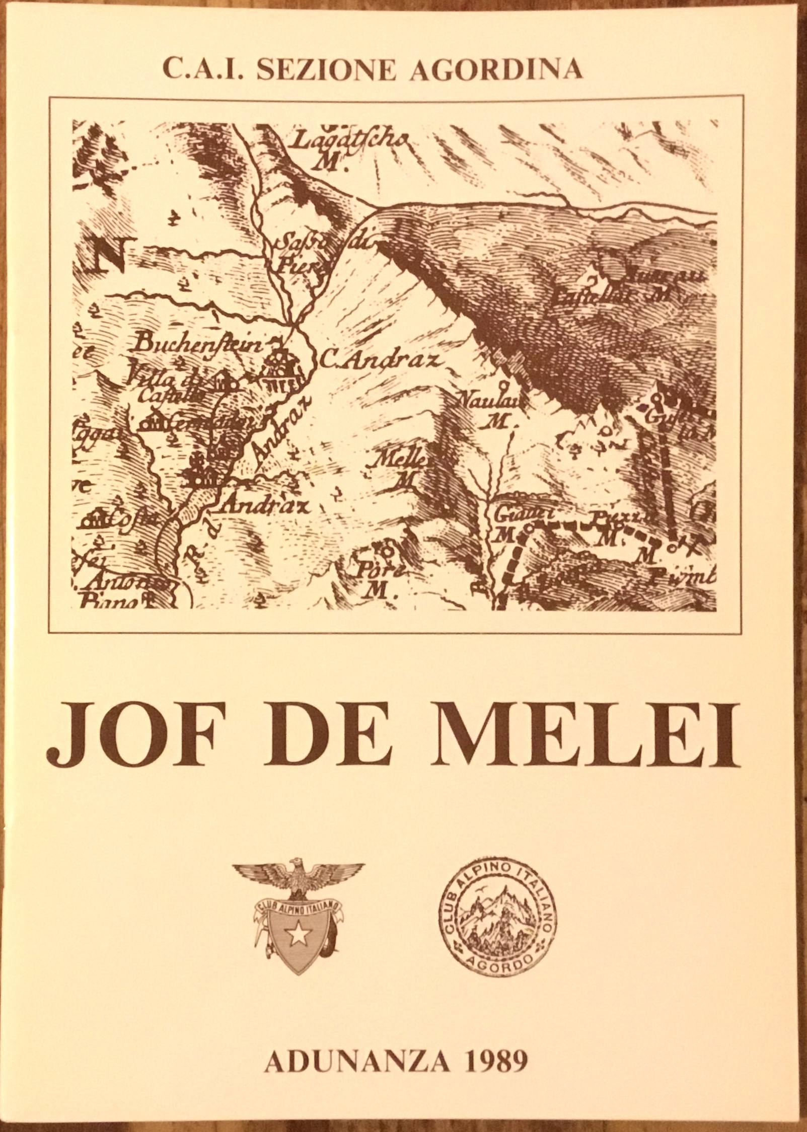 Joe De Melei. Adunanza 1989