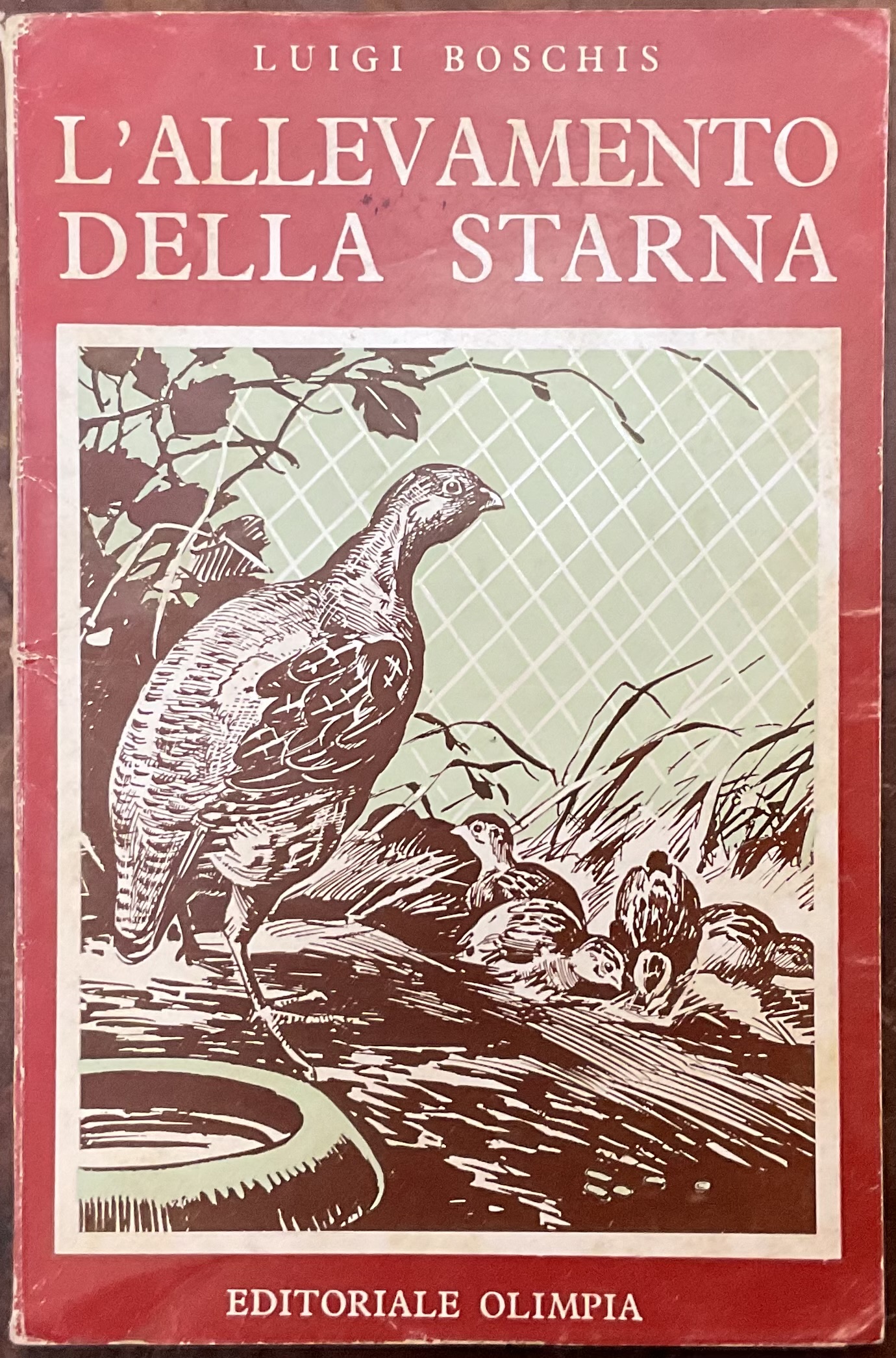 L’allevamento della starna